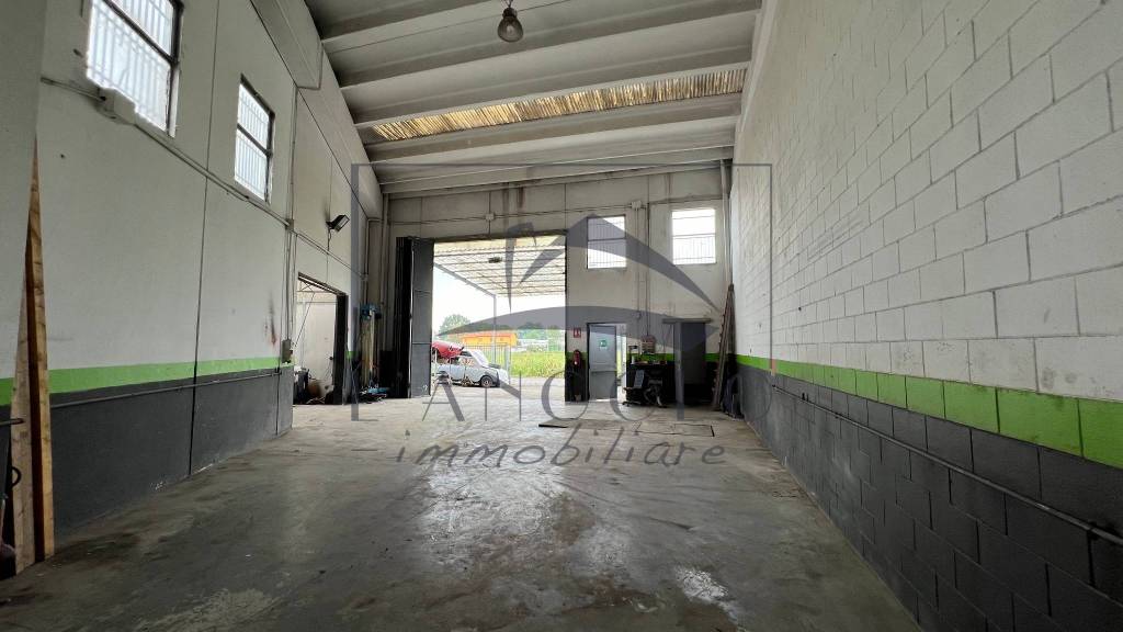 immagine annuncio 3 di 8