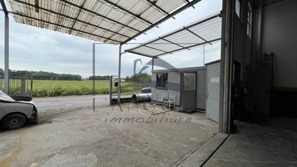 immagine annuncio 7 di 8