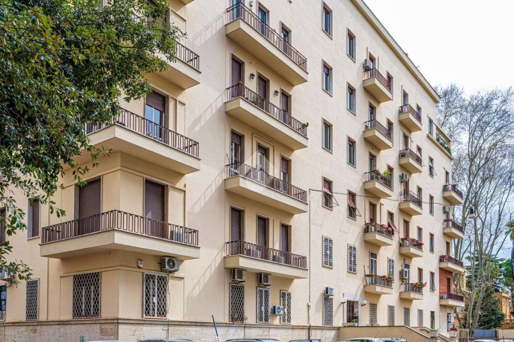 immagine annuncio 1 di 7