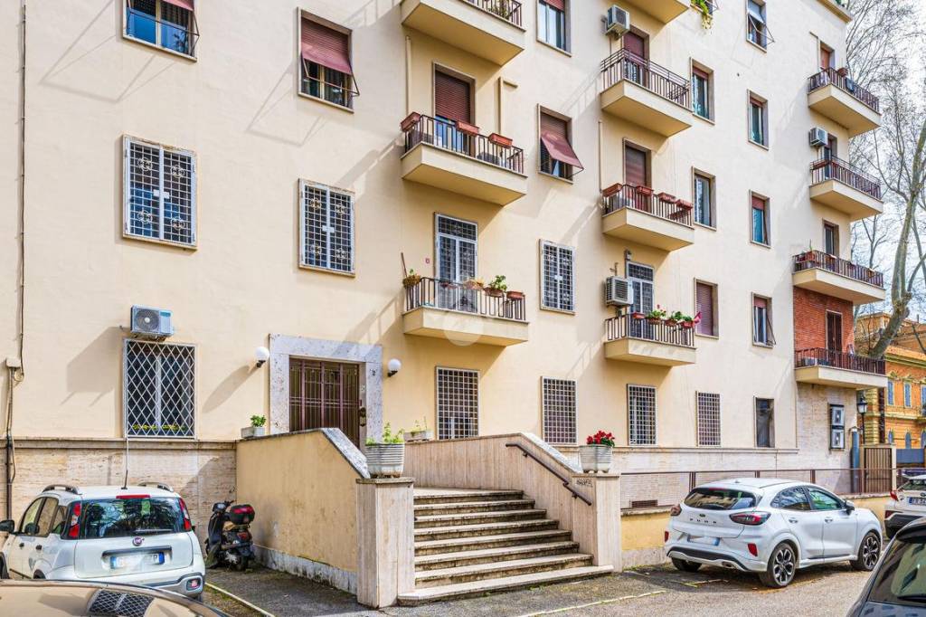 immagine annuncio 4 di 7