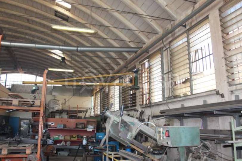 immagine annuncio 10 di 15