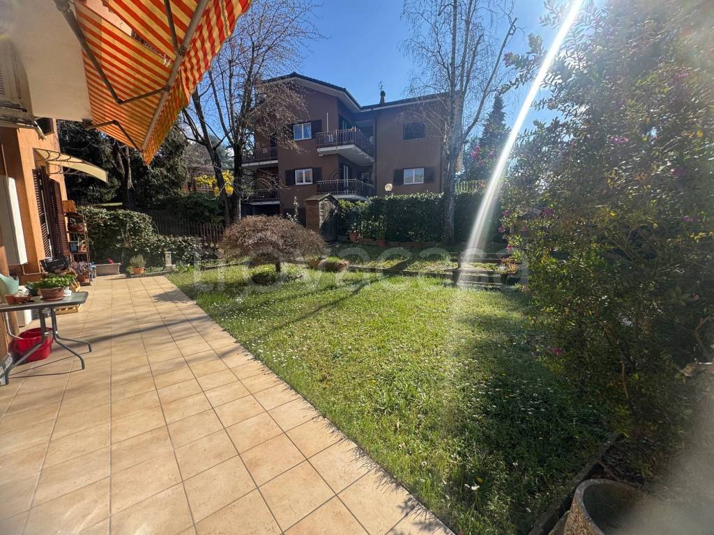 immagine annuncio 5 di 15