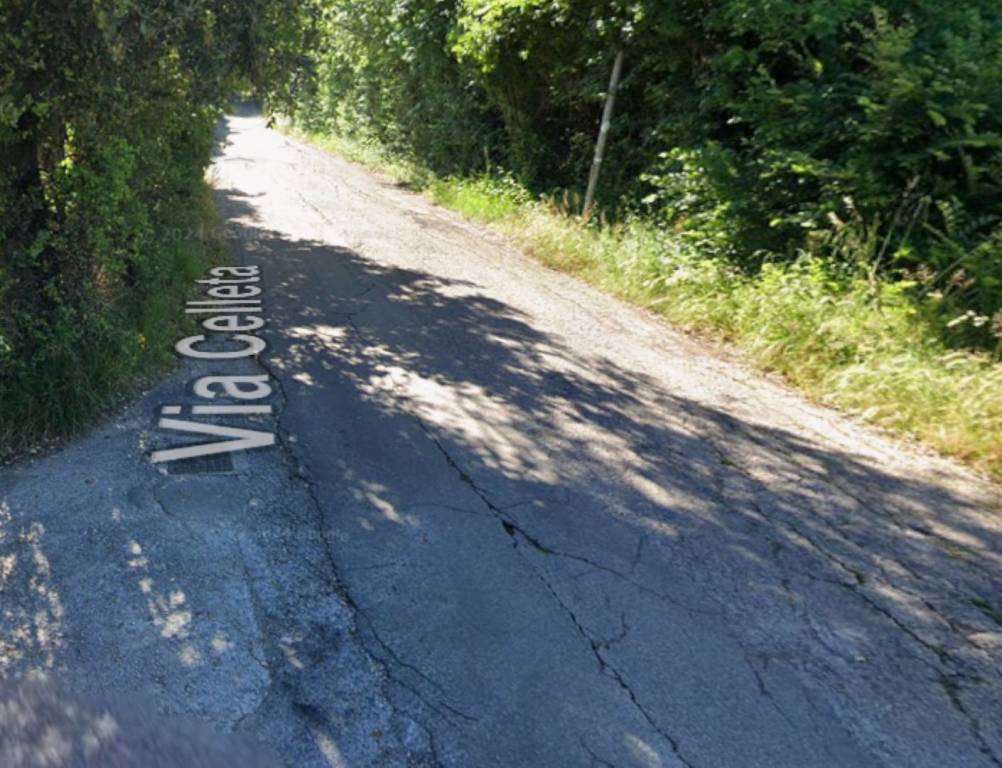 immagine annuncio 9 di 11