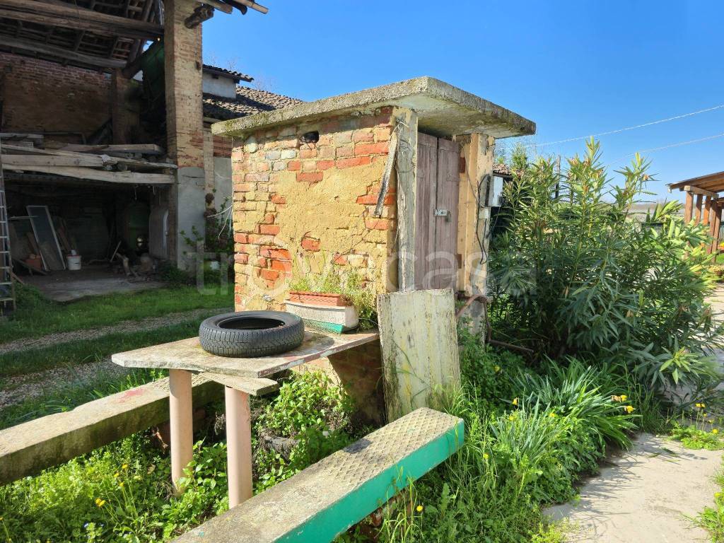 immagine annuncio 5 di 15