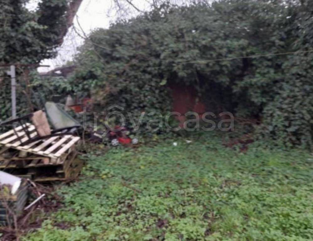 immagine annuncio 4 di 11