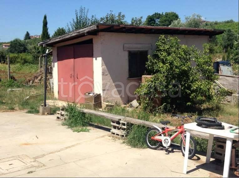 immagine annuncio 4 di 11