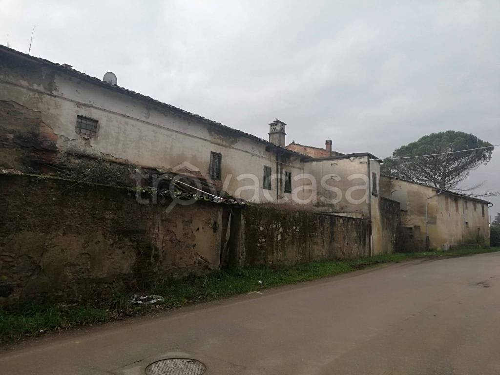 immagine annuncio 2 di 8