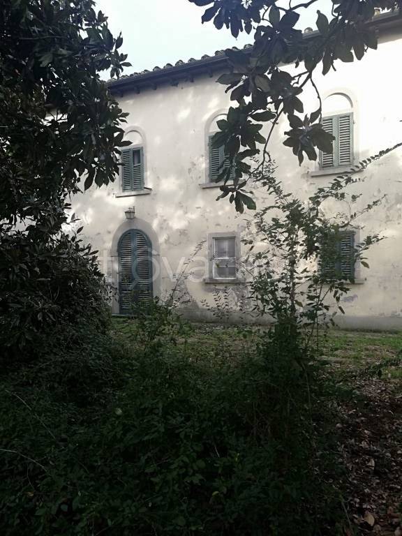 immagine annuncio 3 di 8