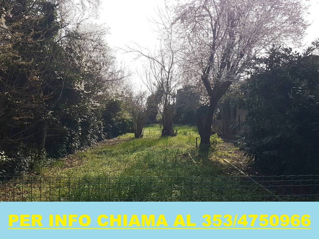 immagine annuncio 13 di 14