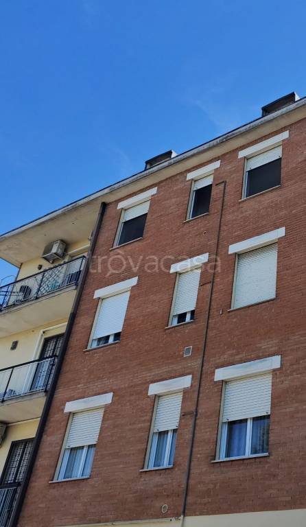 immagine annuncio 12 di 14