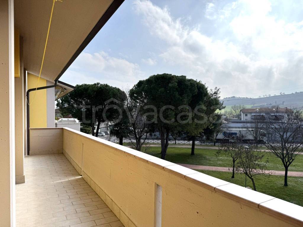 immagine annuncio 12 di 13