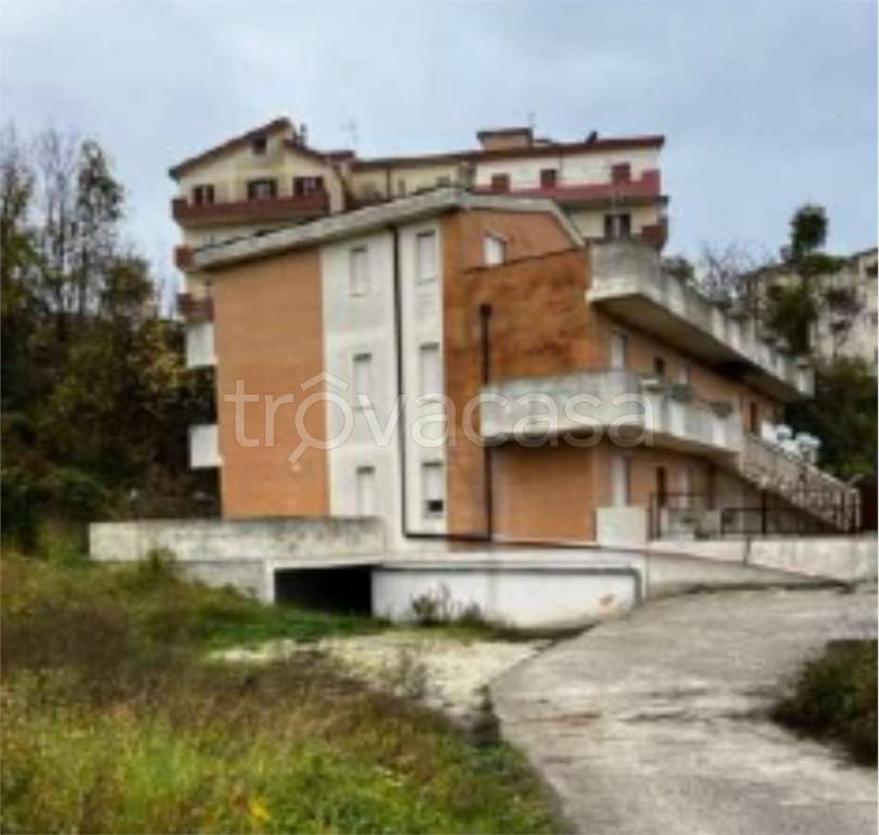 immagine annuncio 9 di 13