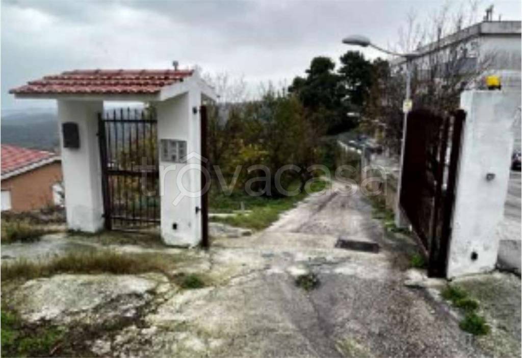 immagine annuncio 12 di 13