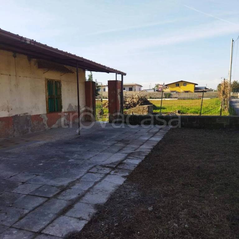 immagine annuncio 7 di 13