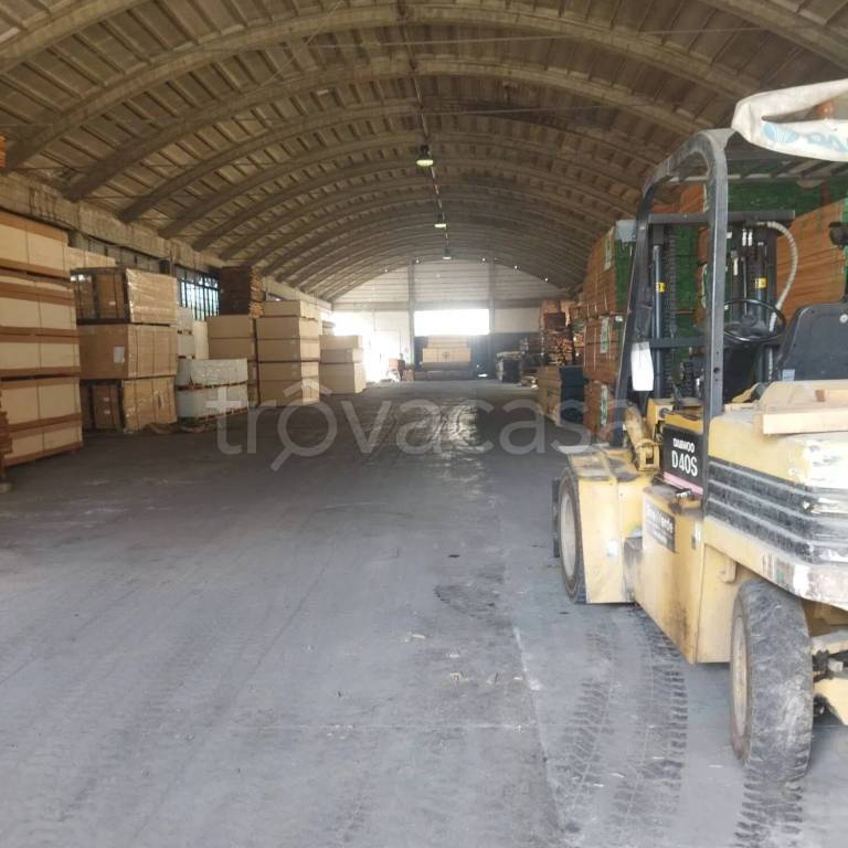 immagine annuncio 2 di 12