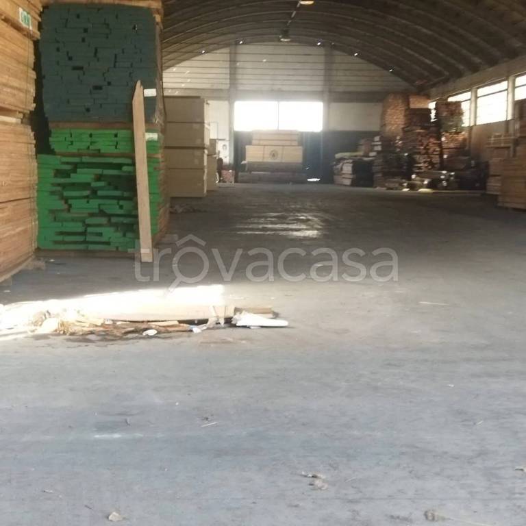 immagine annuncio 3 di 12