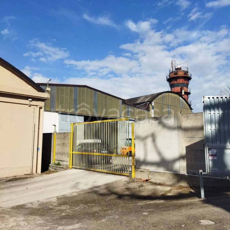 immagine annuncio 11 di 12