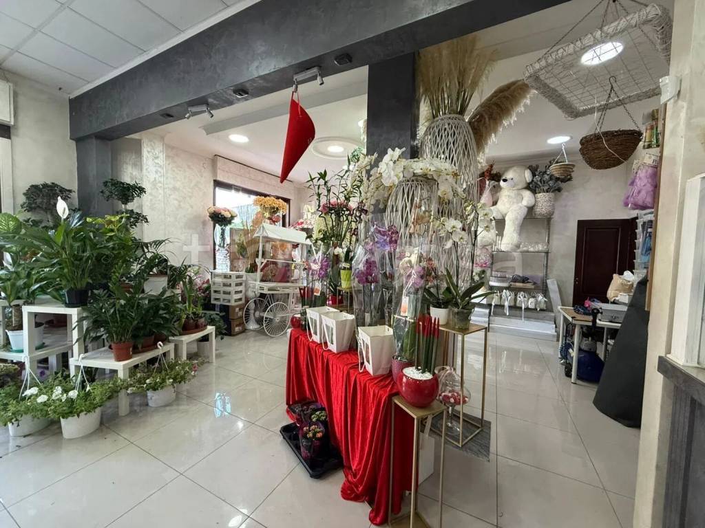 immagine annuncio 2 di 10