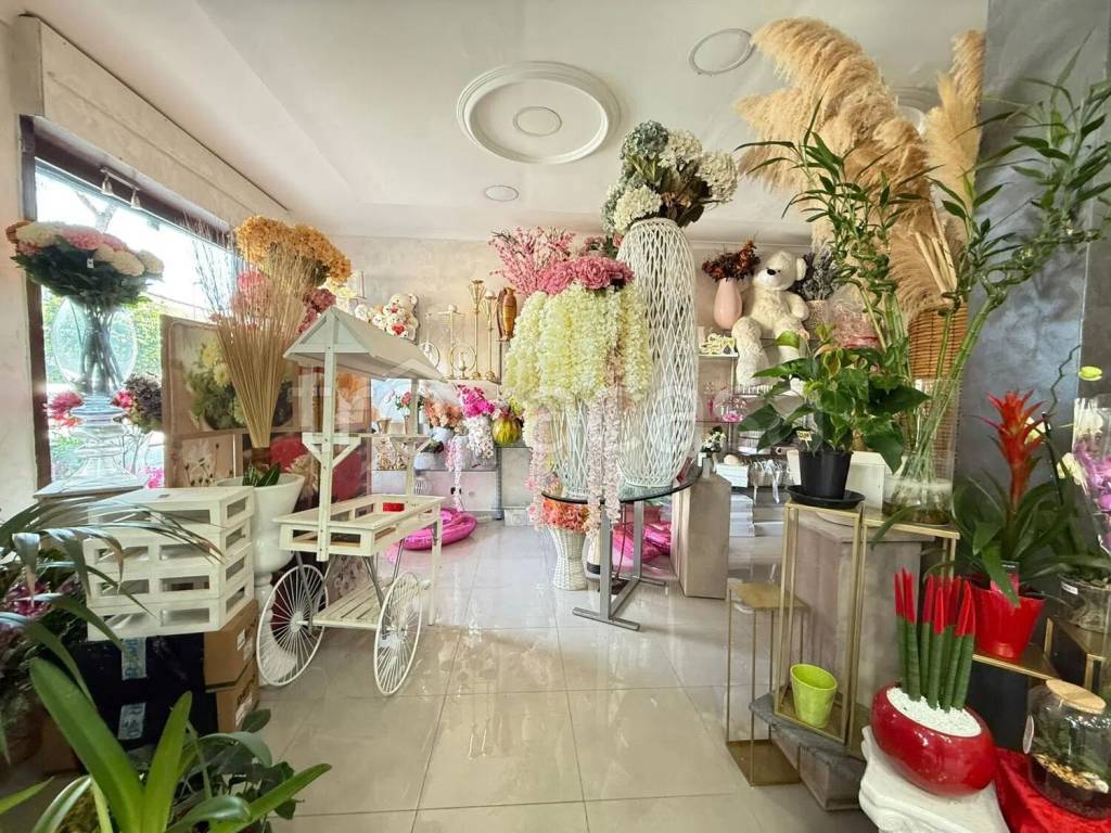 immagine annuncio 7 di 10