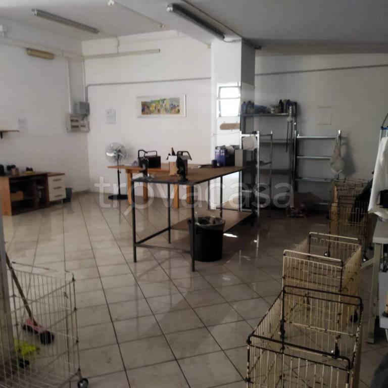 immagine annuncio 3 di 11