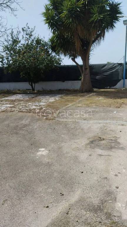 immagine annuncio 2 di 6