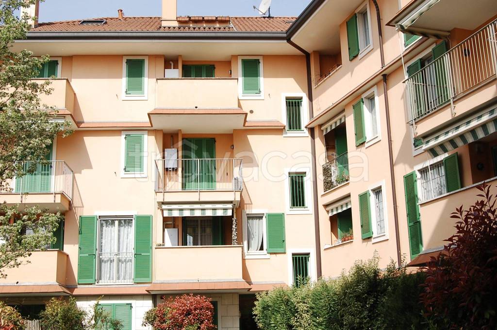 immagine annuncio 12 di 13