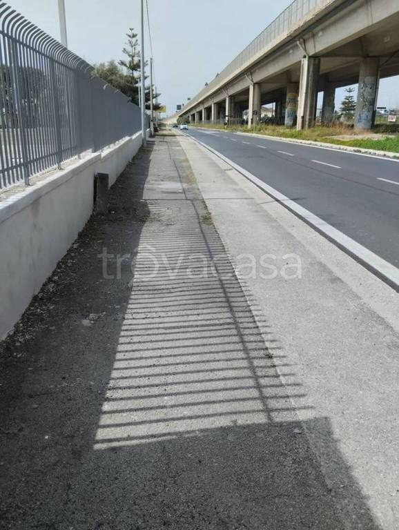 immagine annuncio 4 di 6