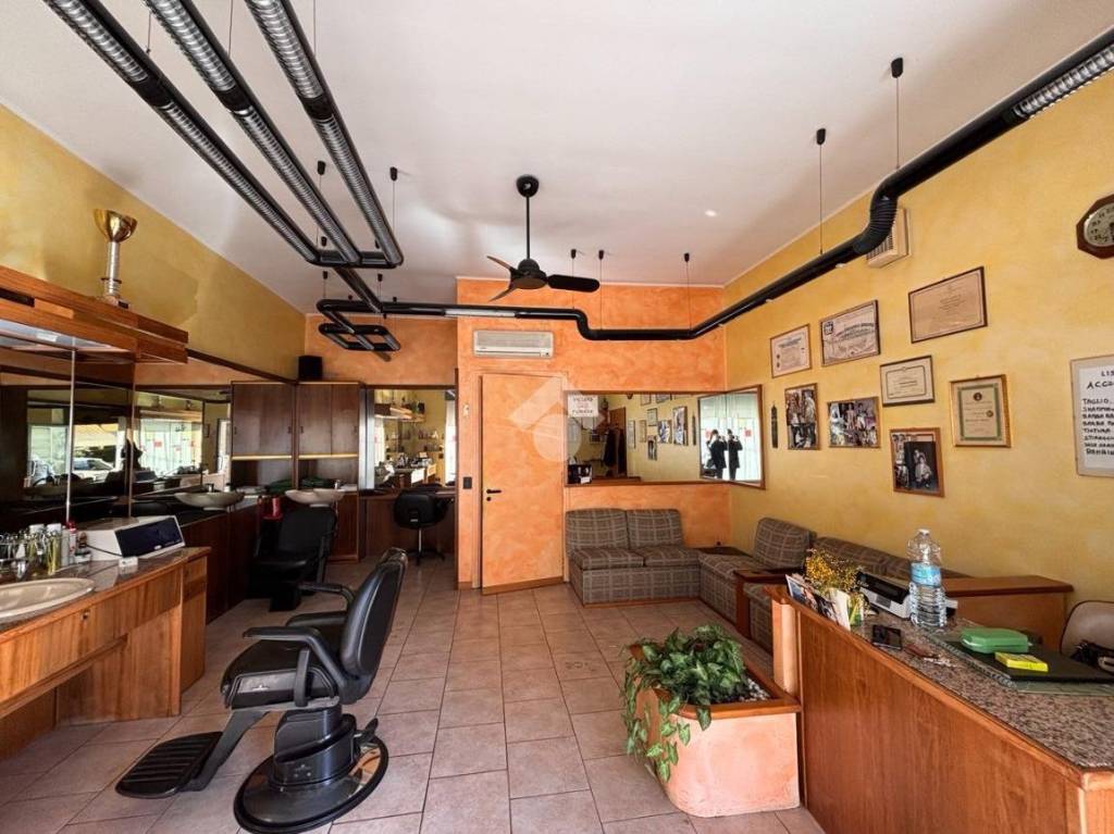 immagine annuncio 9 di 15