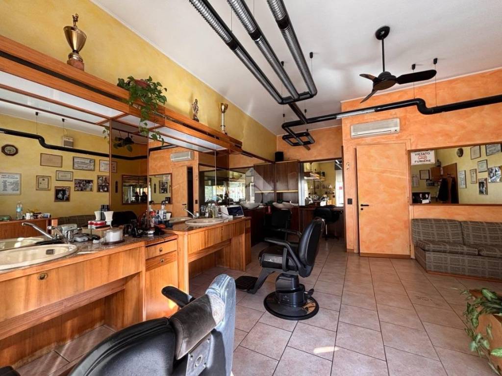 immagine annuncio 10 di 15