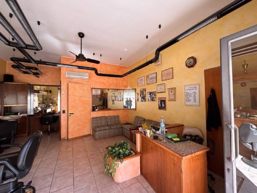 immagine annuncio 13 di 15