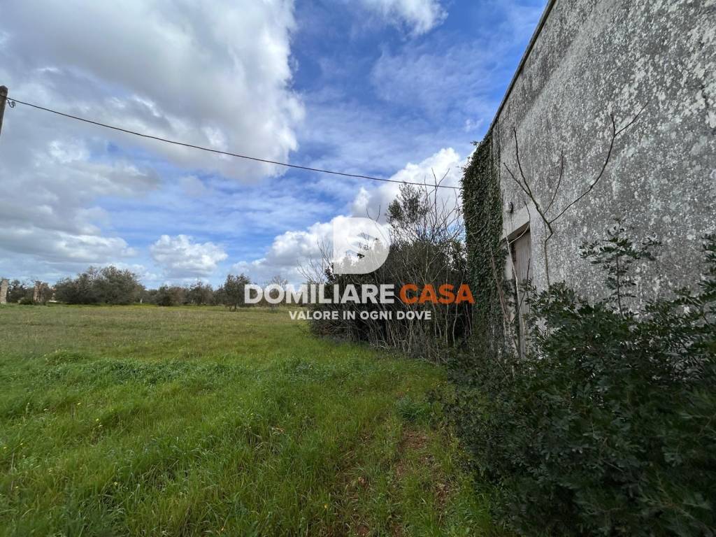 immagine annuncio 3 di 13