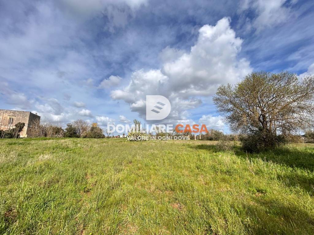 immagine annuncio 4 di 13