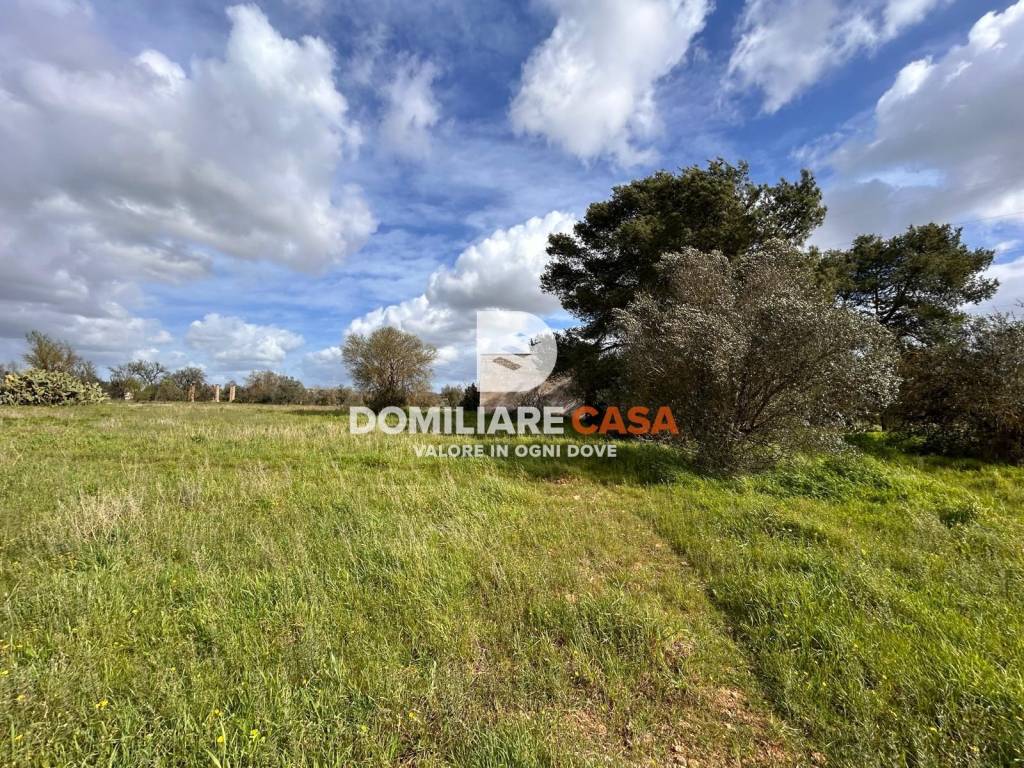 immagine annuncio 5 di 13