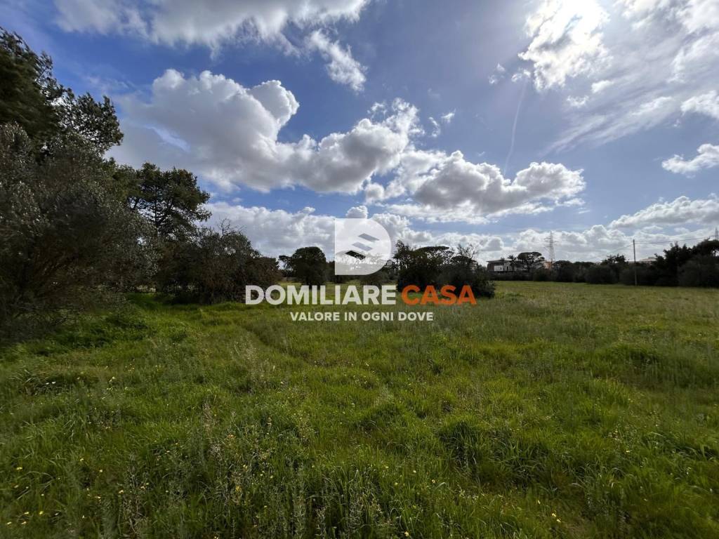 immagine annuncio 6 di 13