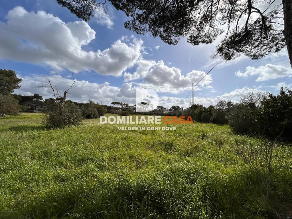 immagine annuncio 7 di 13