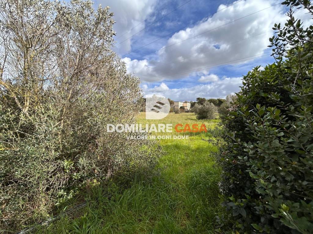 immagine annuncio 8 di 13