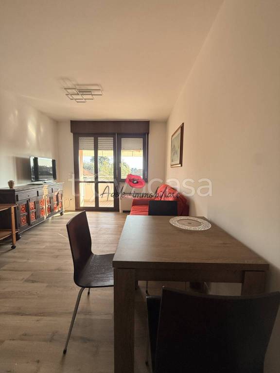 immagine annuncio 1 di 14