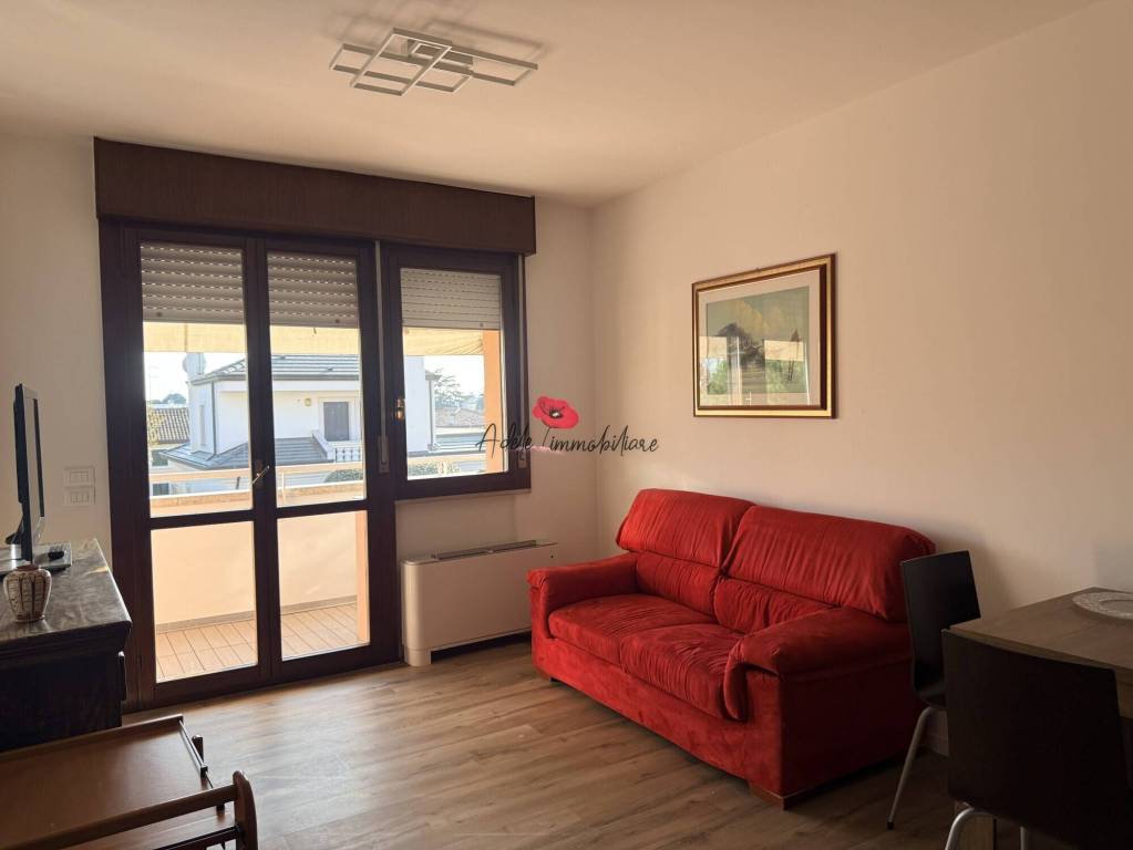 immagine annuncio 3 di 14