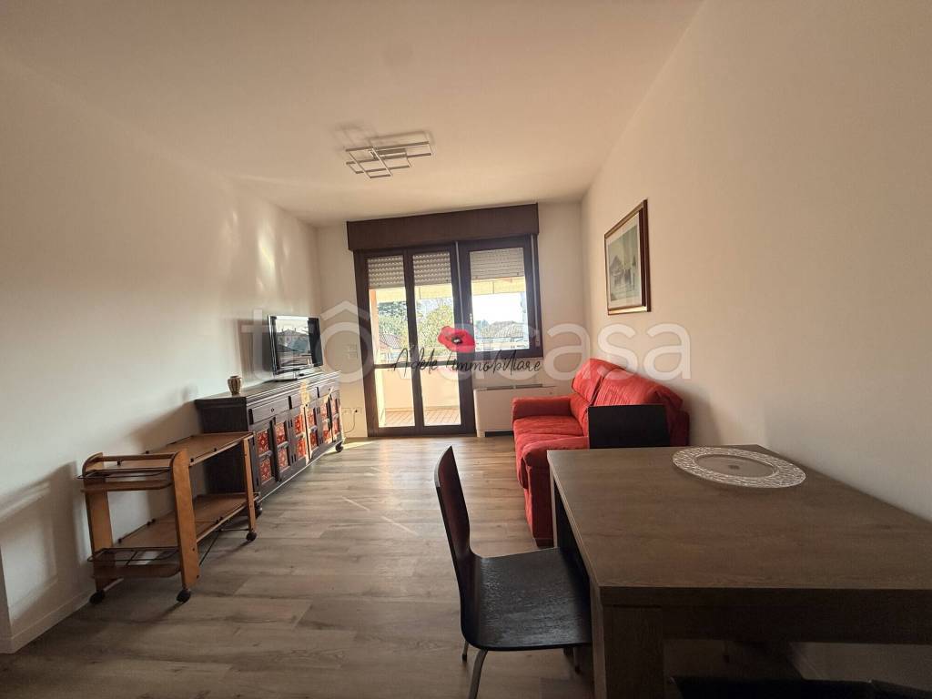 immagine annuncio 4 di 14