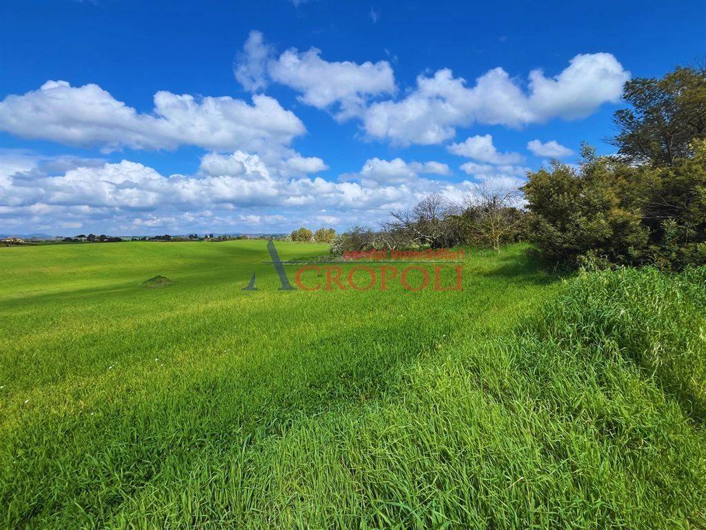 immagine annuncio 3 di 14