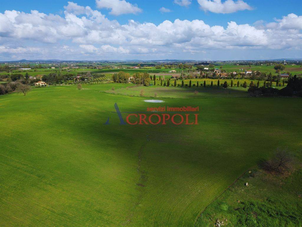 immagine annuncio 5 di 14