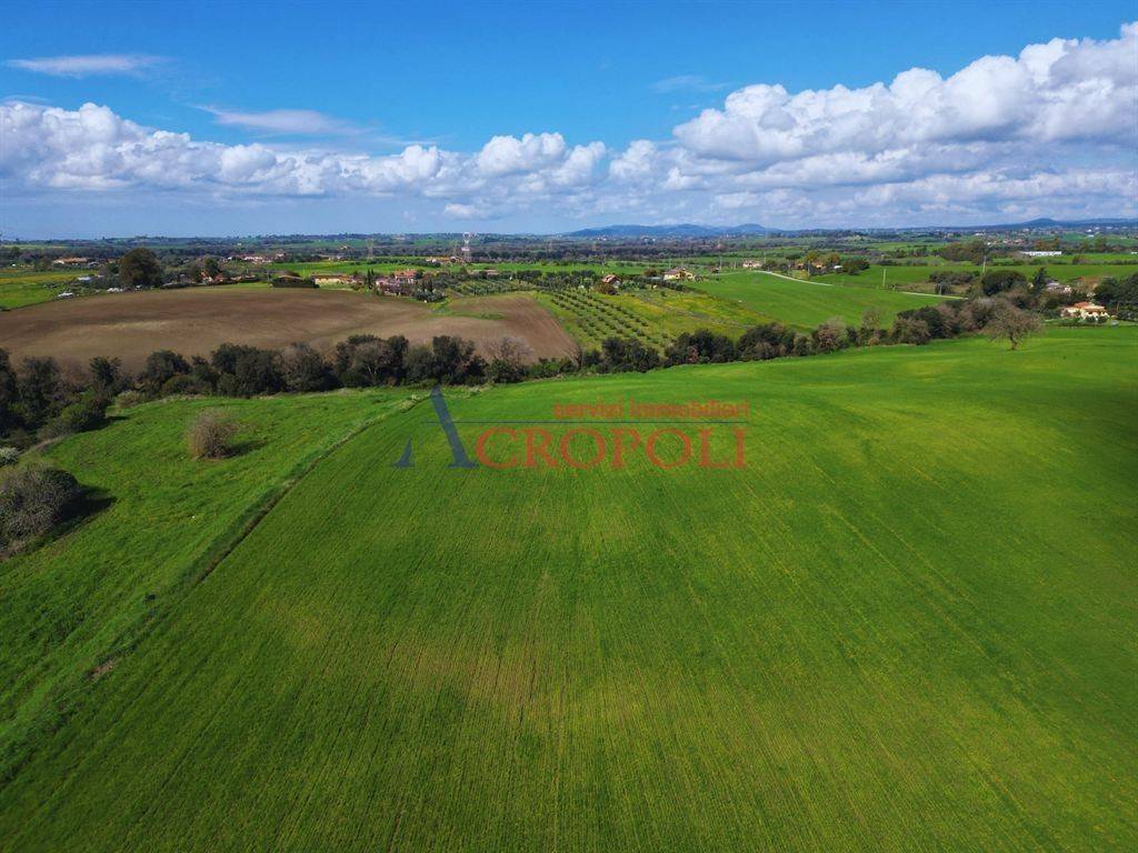 immagine annuncio 6 di 14