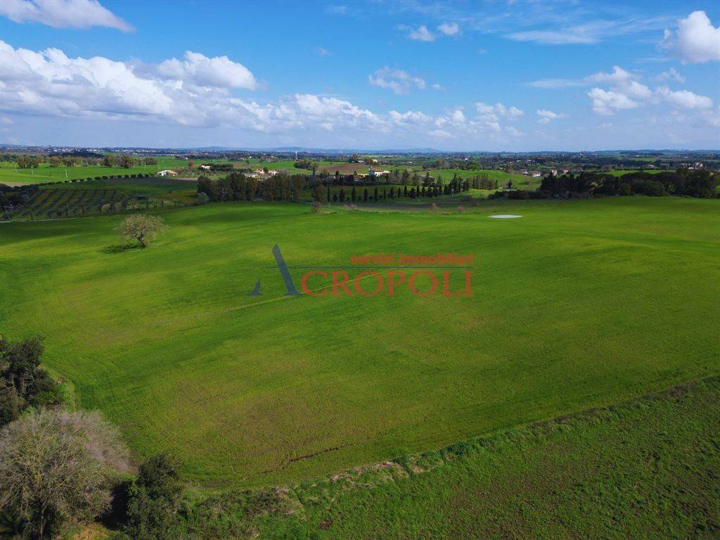 immagine annuncio 7 di 14