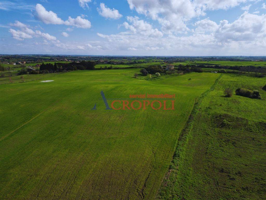 immagine annuncio 8 di 14