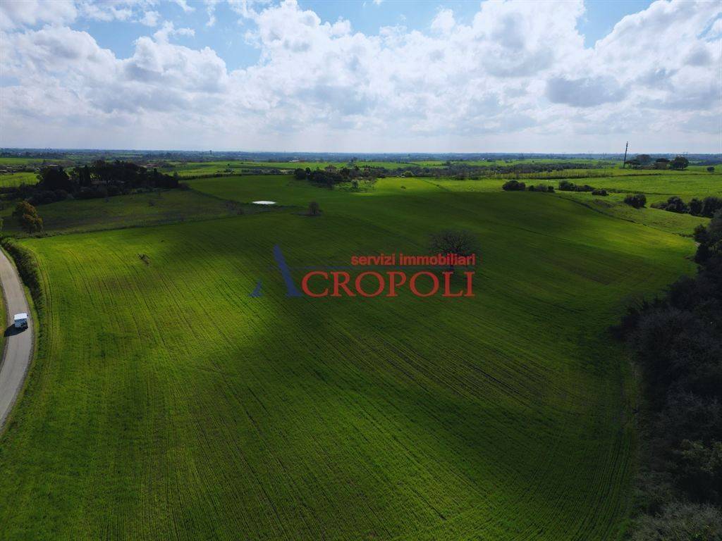 immagine annuncio 9 di 14