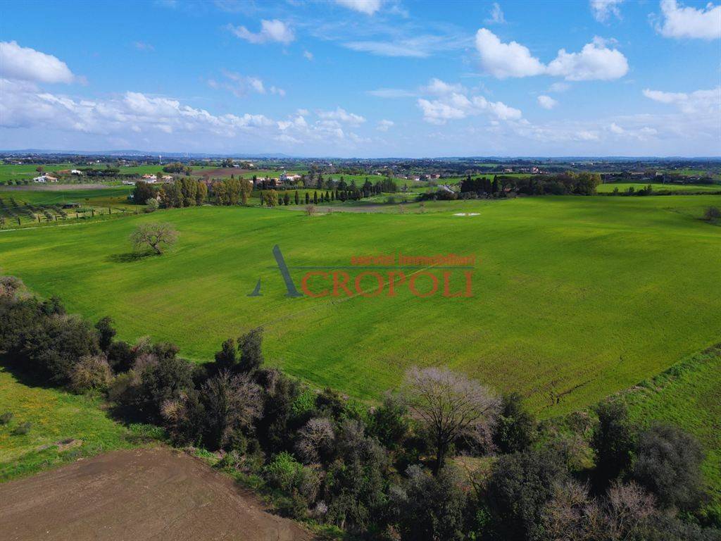 immagine annuncio 10 di 14