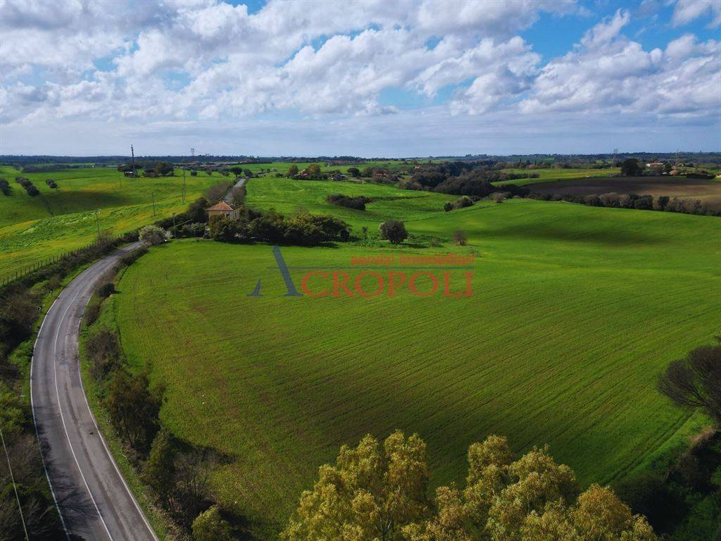 immagine annuncio 12 di 14