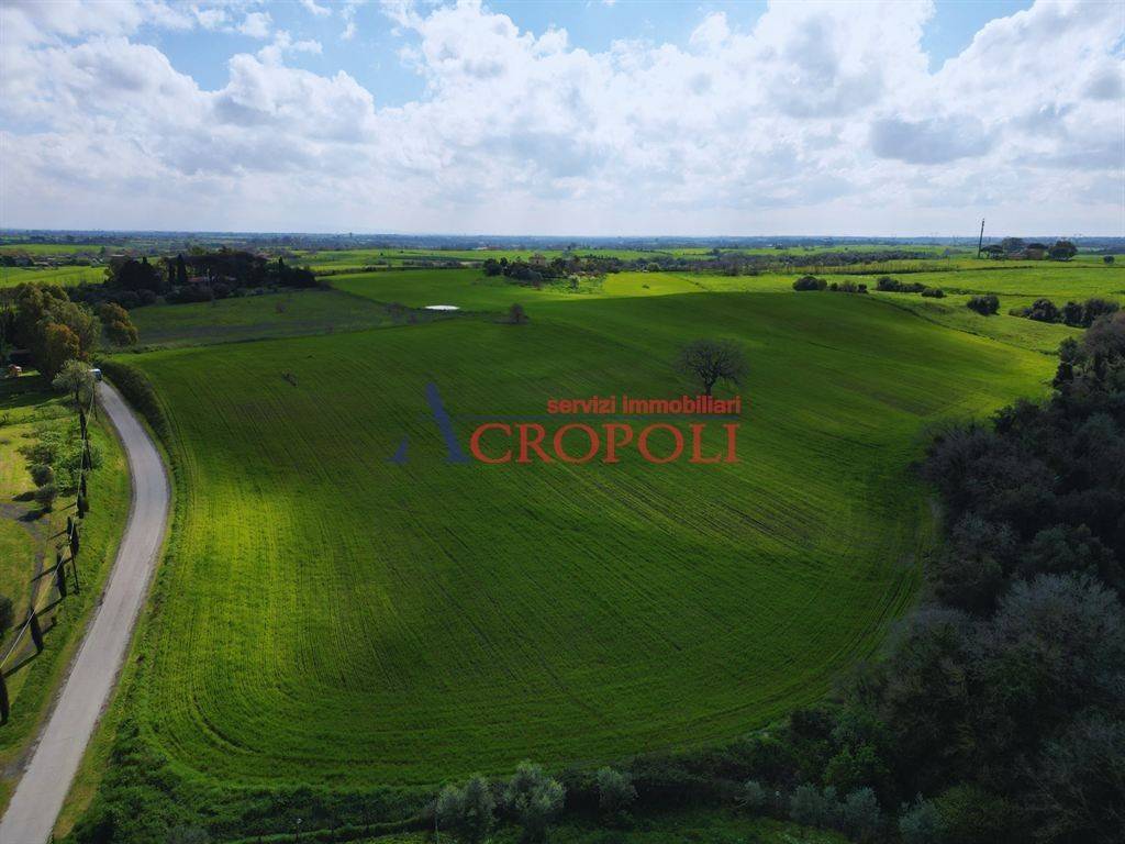 immagine annuncio 13 di 14