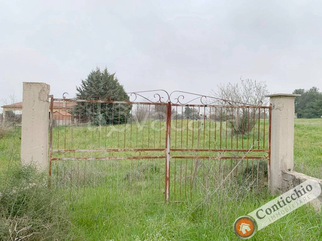 immagine annuncio 1 di 9