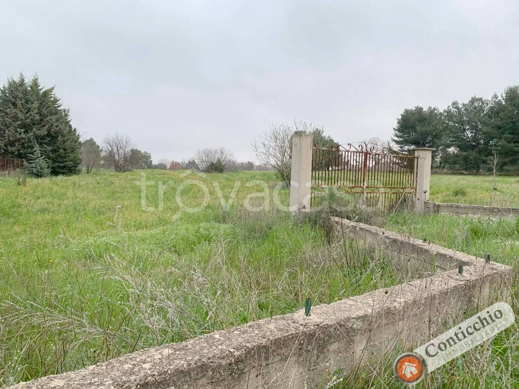 immagine annuncio 2 di 9